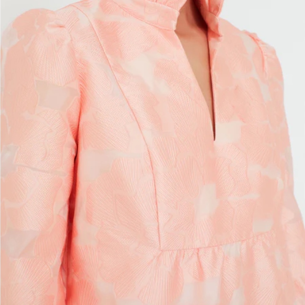Tuckernuck Pink Ruffle Dress - Picture 4 of 6